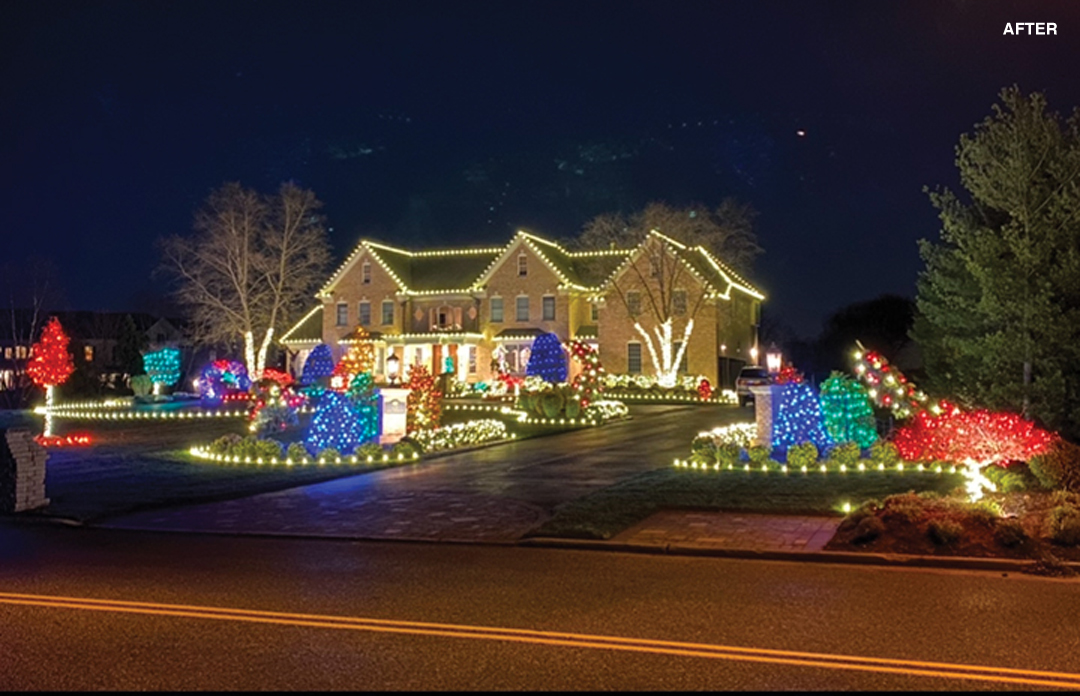 We Hang Holiday Lights
